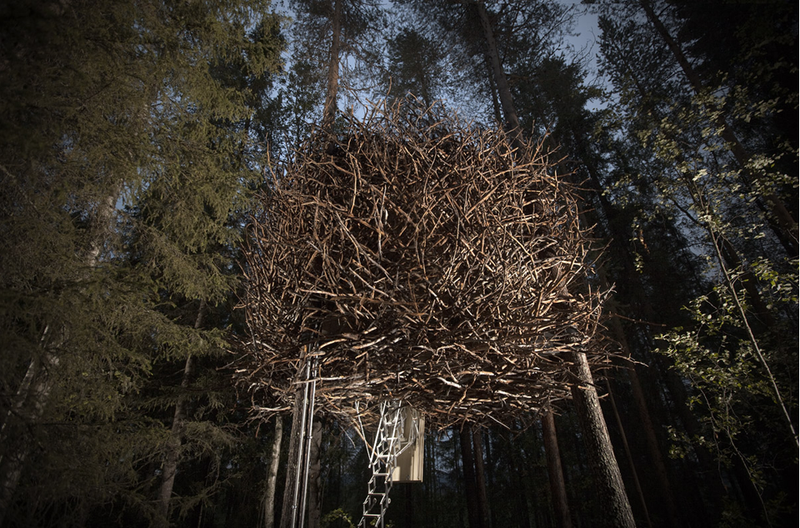 Illustration for article titled 7 Charming and Wacky Treehouses You Can Rent For a Night in the Forest